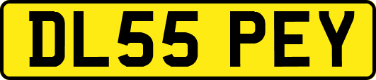 DL55PEY