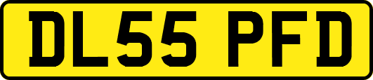DL55PFD