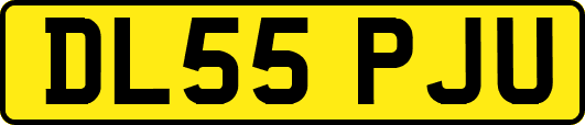 DL55PJU