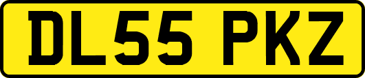DL55PKZ