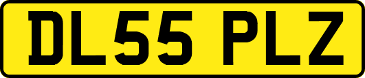 DL55PLZ