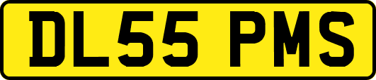 DL55PMS