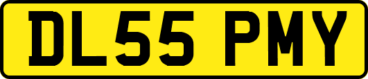 DL55PMY