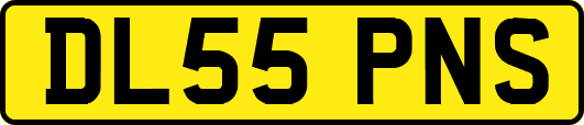 DL55PNS