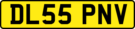 DL55PNV