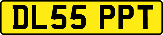 DL55PPT
