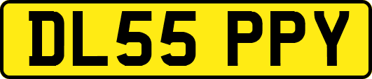 DL55PPY