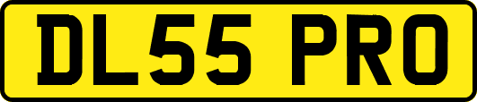 DL55PRO