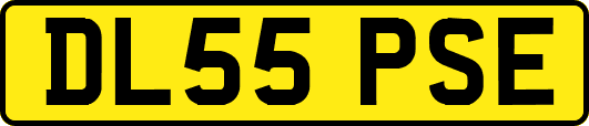 DL55PSE