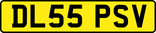 DL55PSV