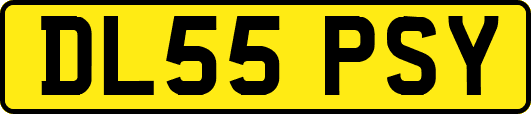 DL55PSY