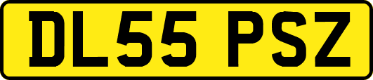 DL55PSZ