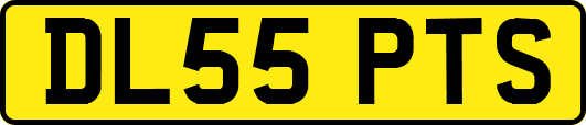 DL55PTS