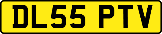 DL55PTV