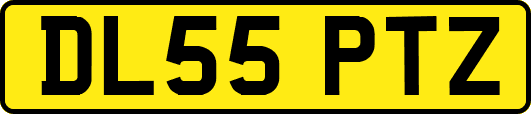 DL55PTZ