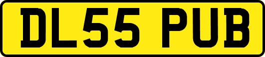 DL55PUB