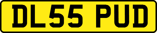 DL55PUD