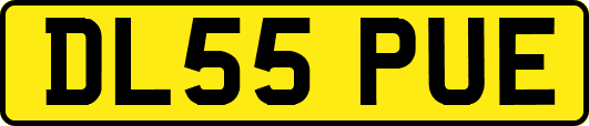DL55PUE