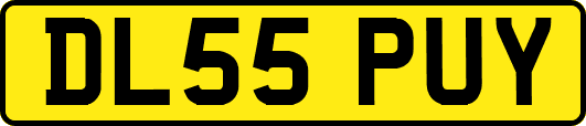 DL55PUY