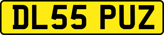 DL55PUZ