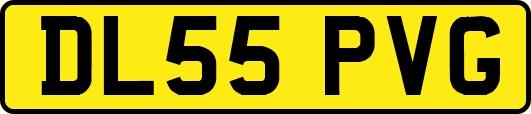 DL55PVG