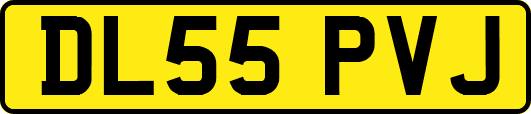 DL55PVJ