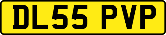 DL55PVP
