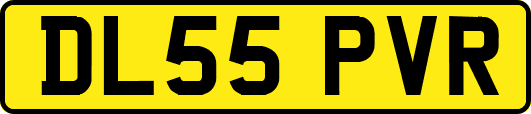 DL55PVR