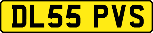 DL55PVS