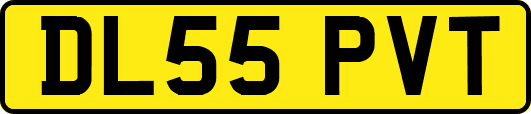 DL55PVT