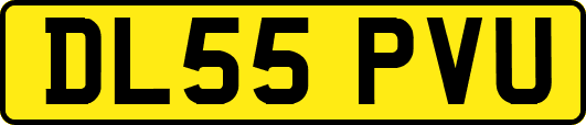 DL55PVU