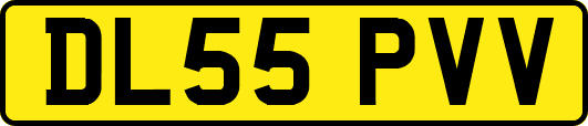 DL55PVV