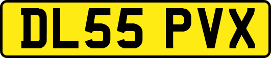 DL55PVX
