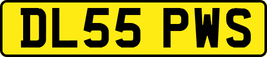 DL55PWS