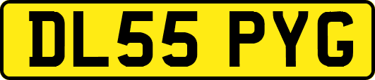 DL55PYG