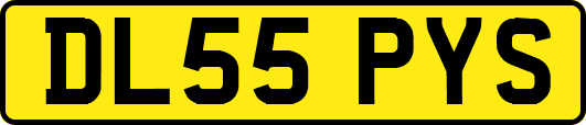 DL55PYS