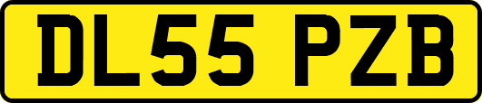 DL55PZB