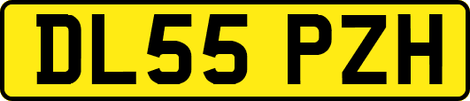 DL55PZH