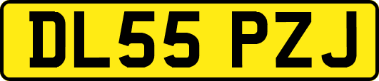DL55PZJ