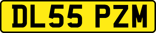 DL55PZM
