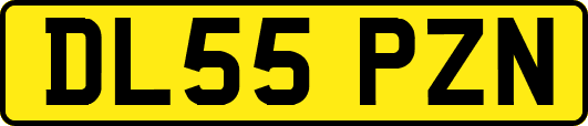 DL55PZN