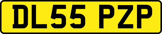 DL55PZP