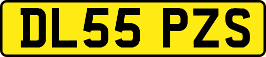 DL55PZS