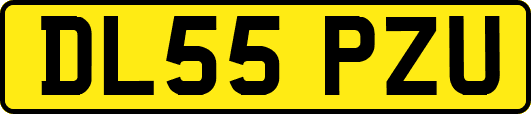 DL55PZU