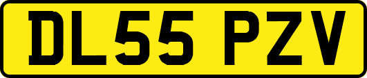 DL55PZV