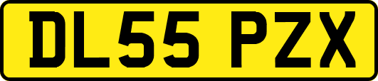 DL55PZX