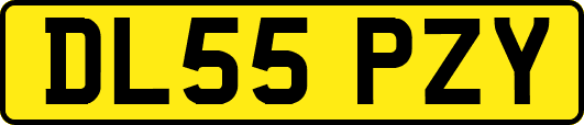DL55PZY
