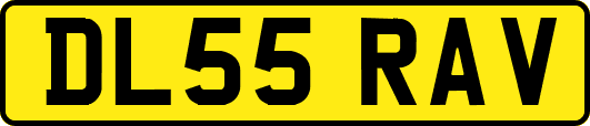 DL55RAV