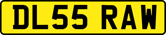 DL55RAW