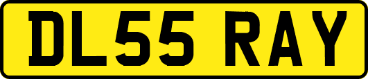 DL55RAY